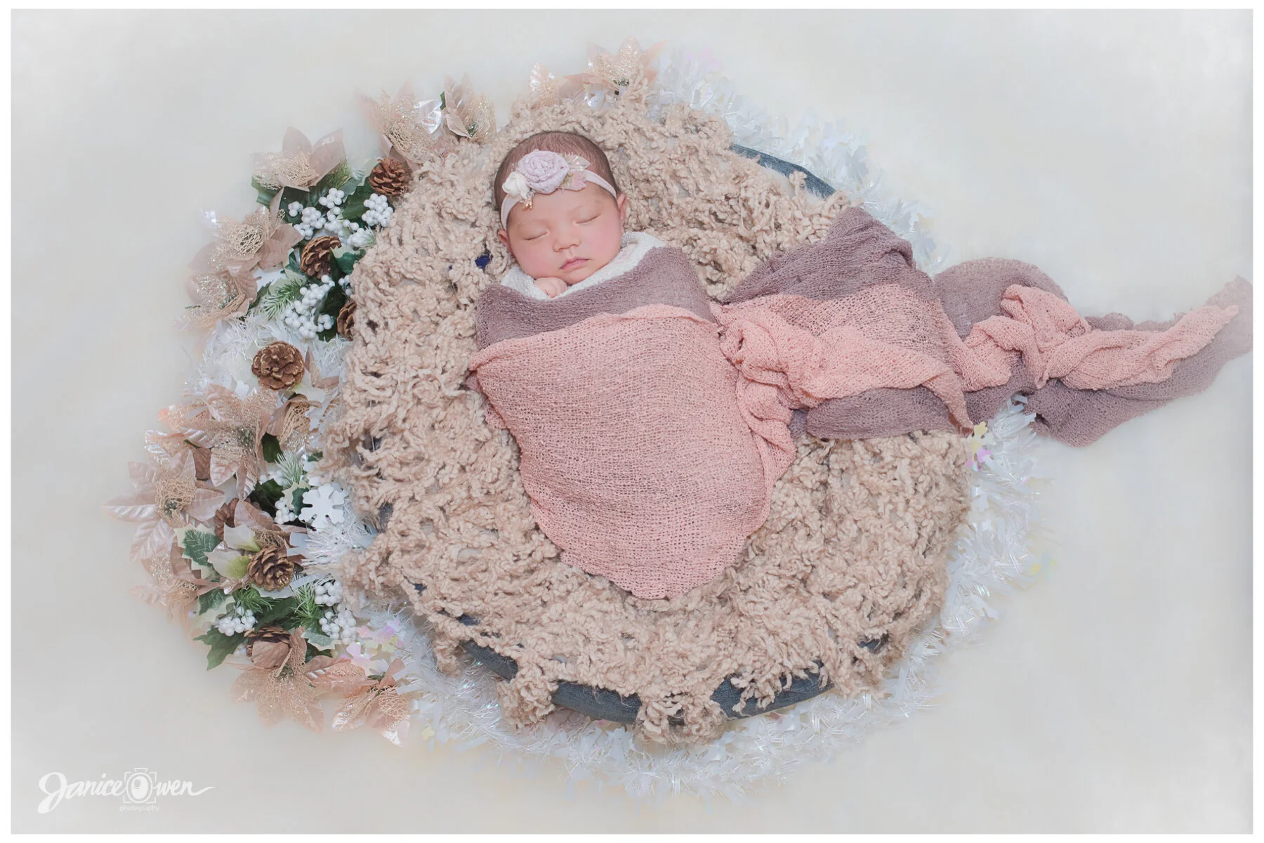 NewbornPortraits_janiceowenphotography 4.jpg