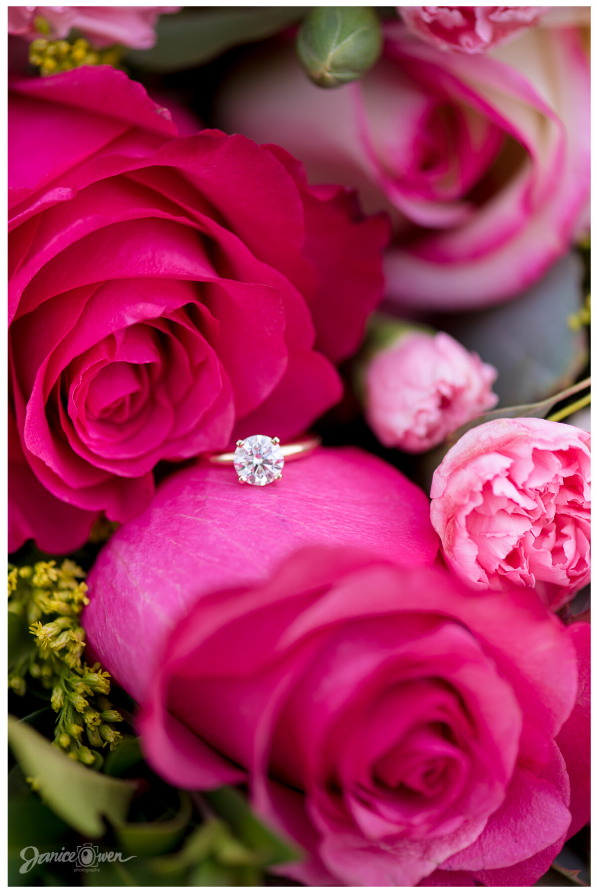 K&D Proposal_janiceowenphotography - 27.jpg