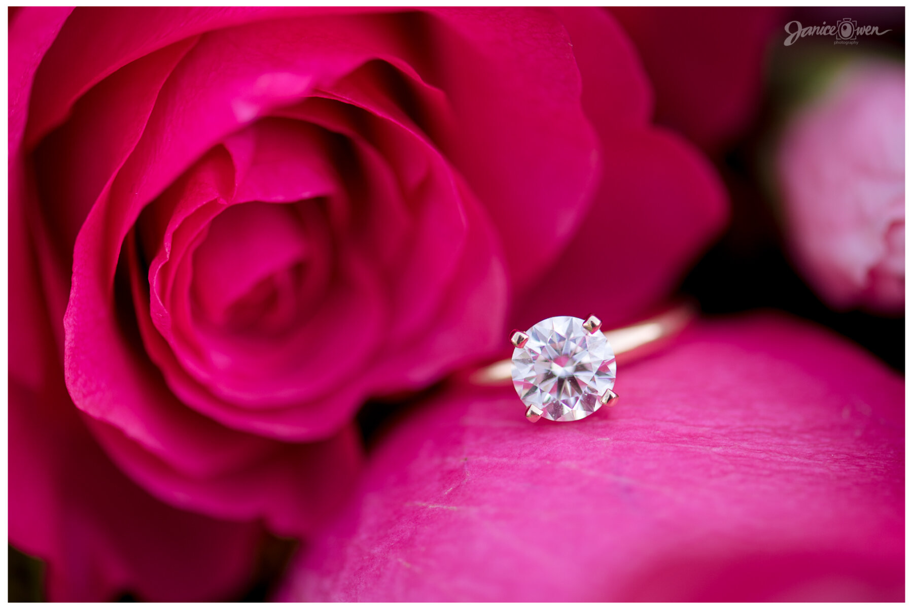 K&D Proposal_janiceowenphotography - 25.jpg