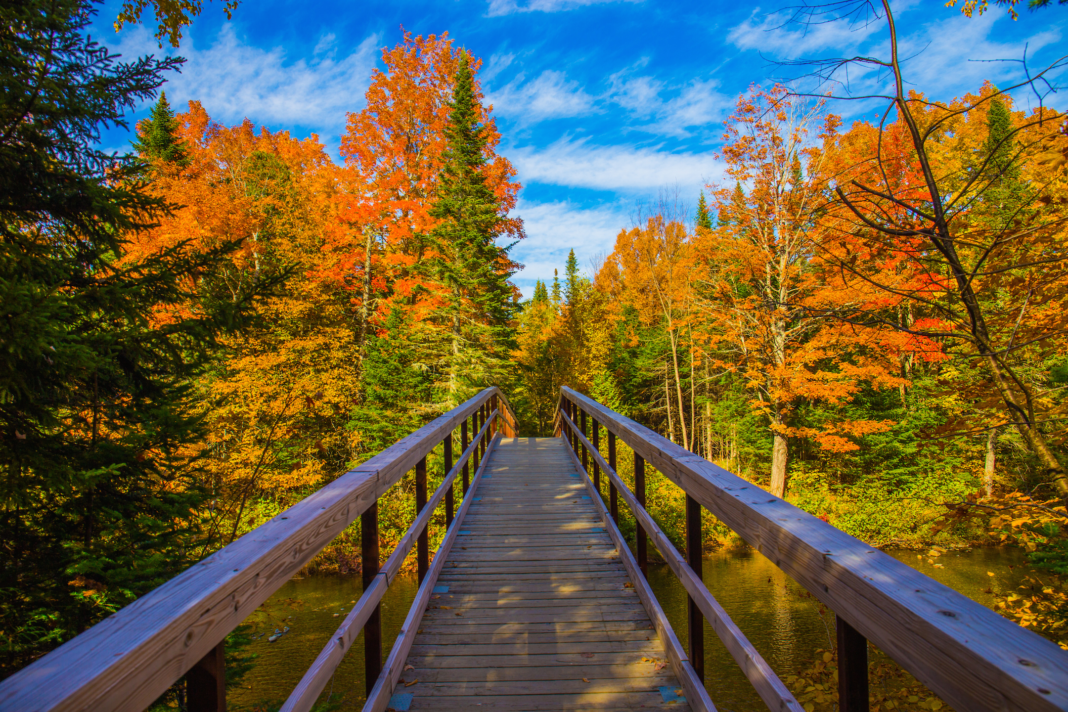 The Bridge to Peak Foliage