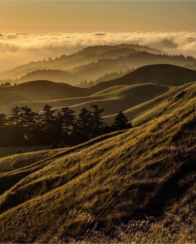 Finally booking some traveling photography jobs again. Feels so good to get them on the calendar. Will be heading up to wine country in a couple weeks to shoot a holiday campaign for @cakebreadcellars. 🍷