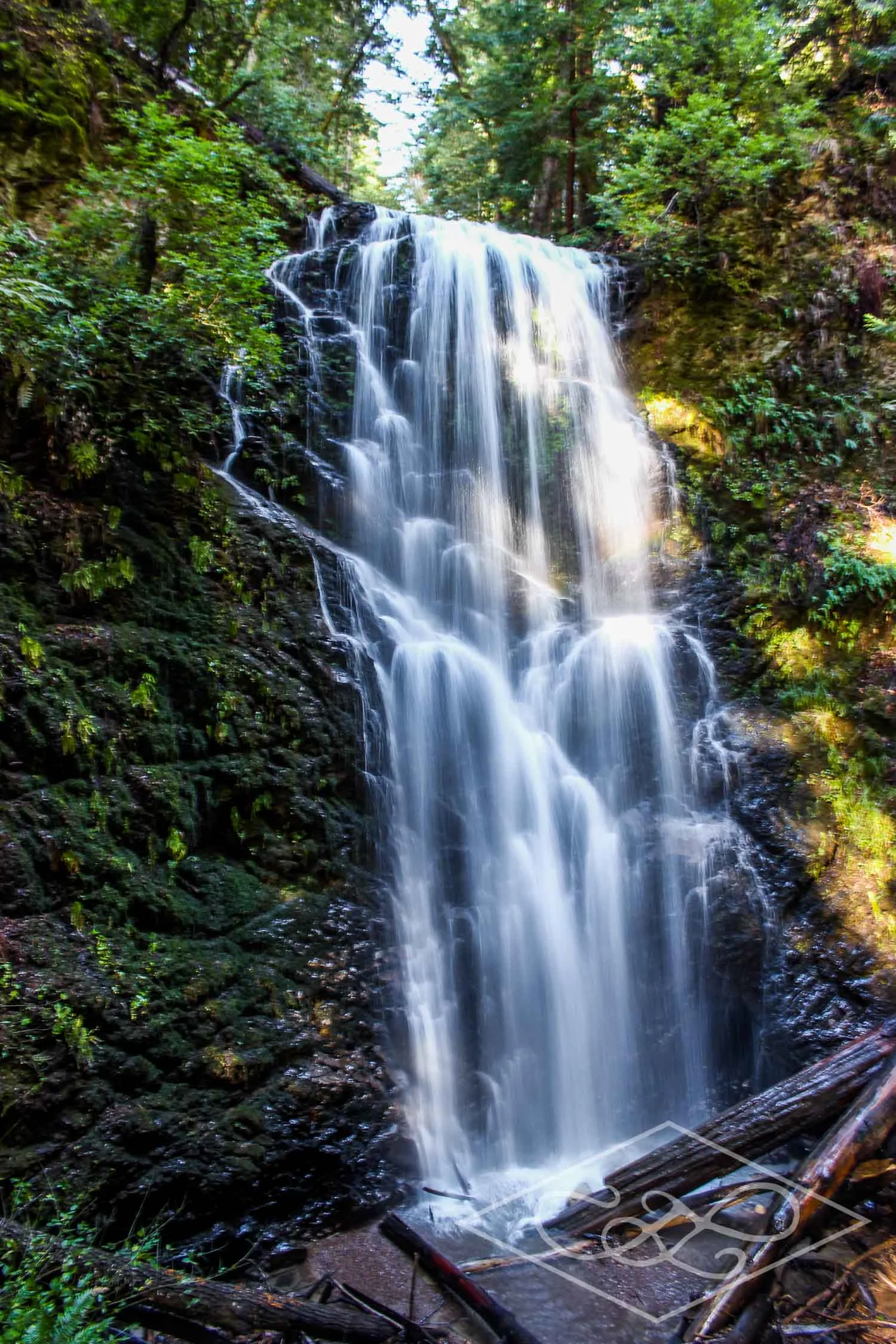 Berry Creek Falls