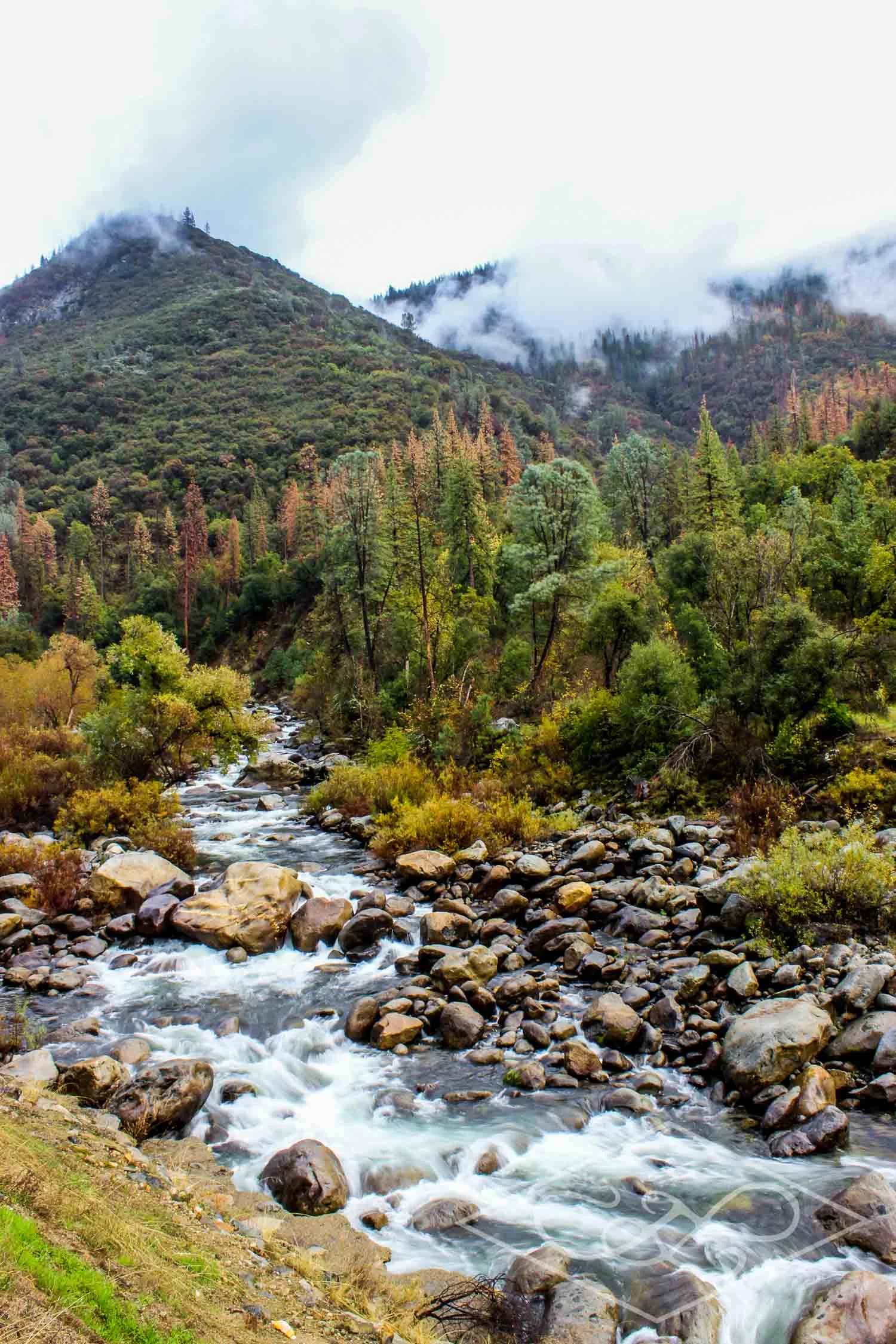 Yosemite #8