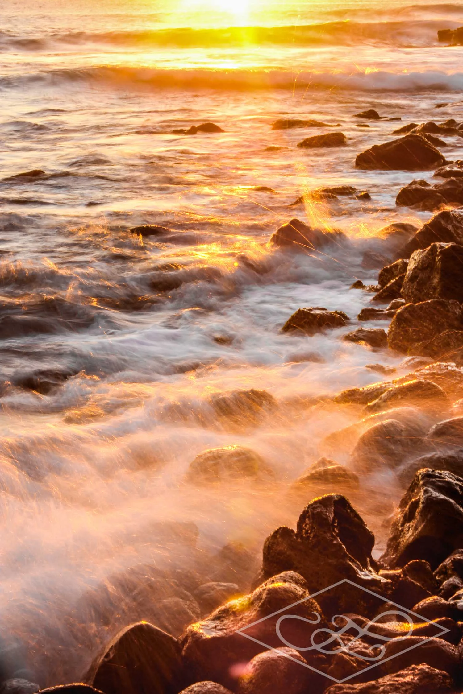 Salt Pond State Park