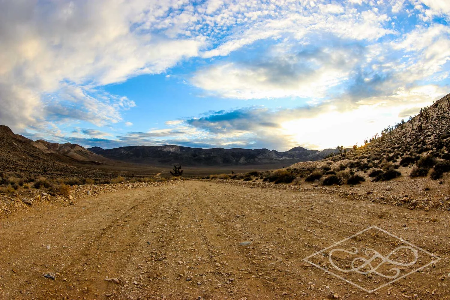 Dirt Road Sunset