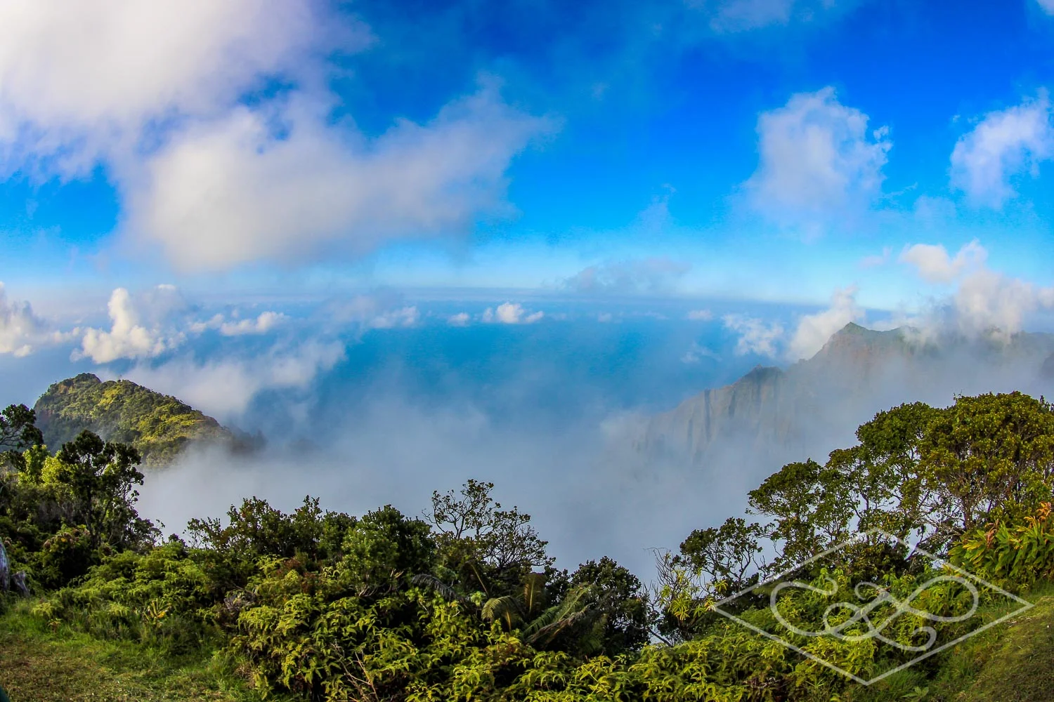 Kalalau Lookout