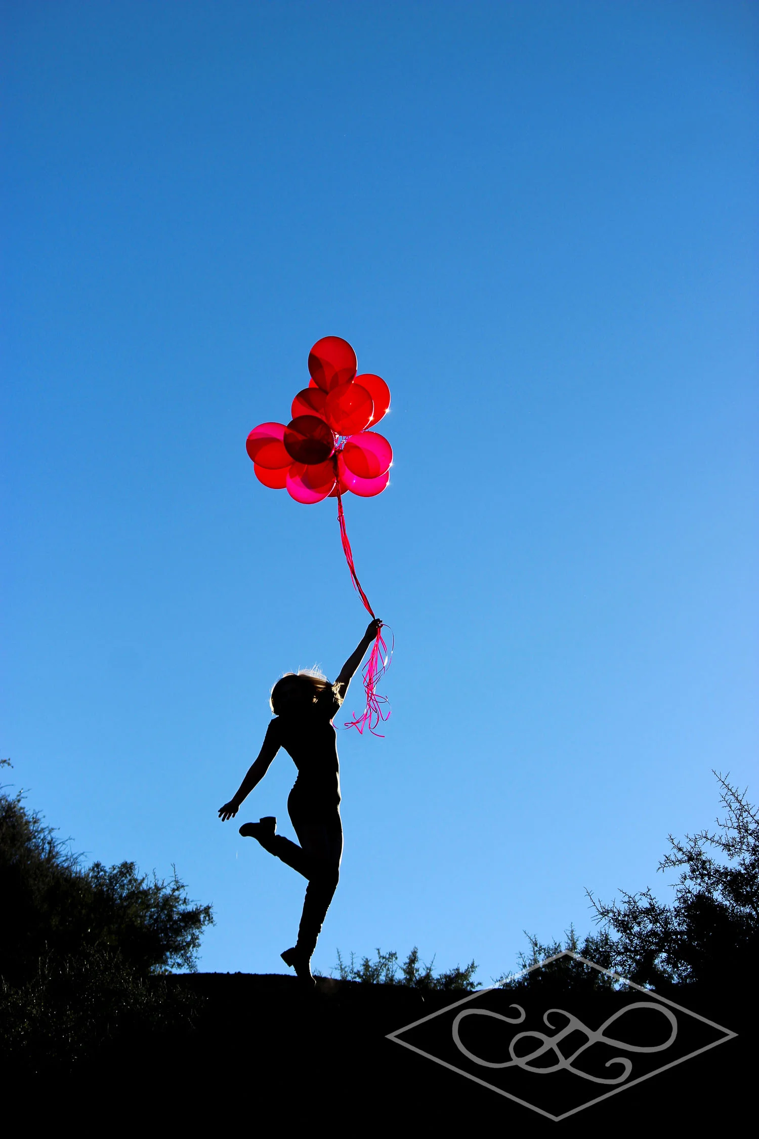 Jeanna Silhouette