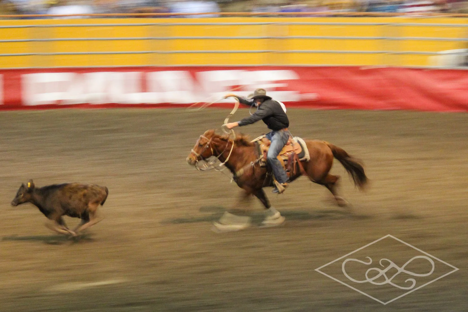 Rodeo
