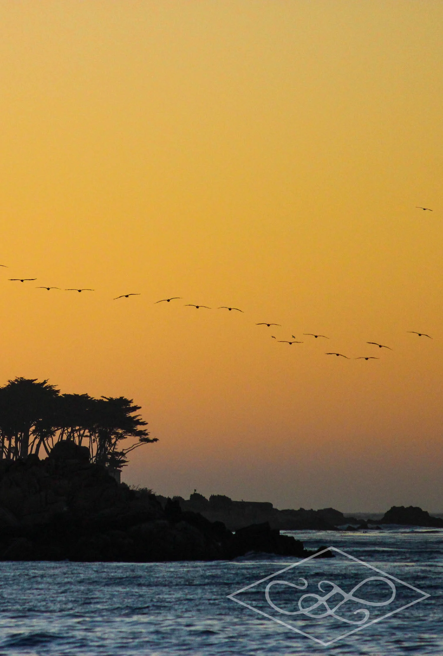 Formation
