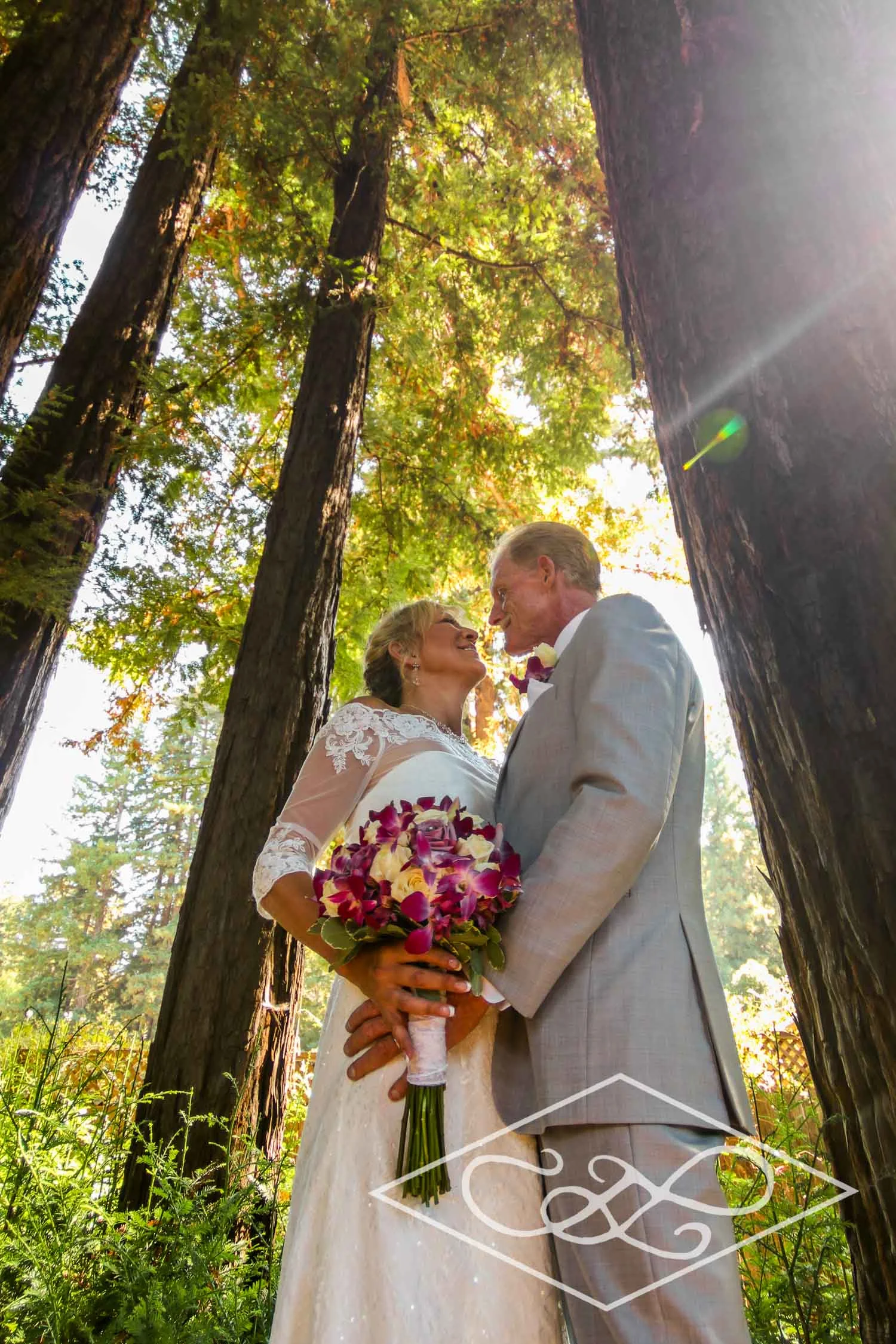 9.10.16 Dave and Jill's Wedding Felton Guild-458.jpg