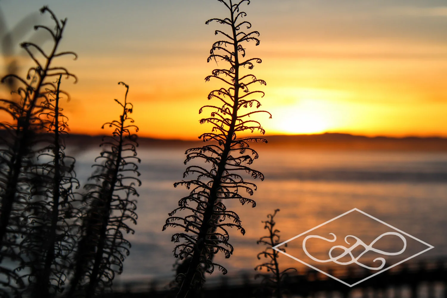 12.27.16 Capitola Beach Sunrise-133.jpg