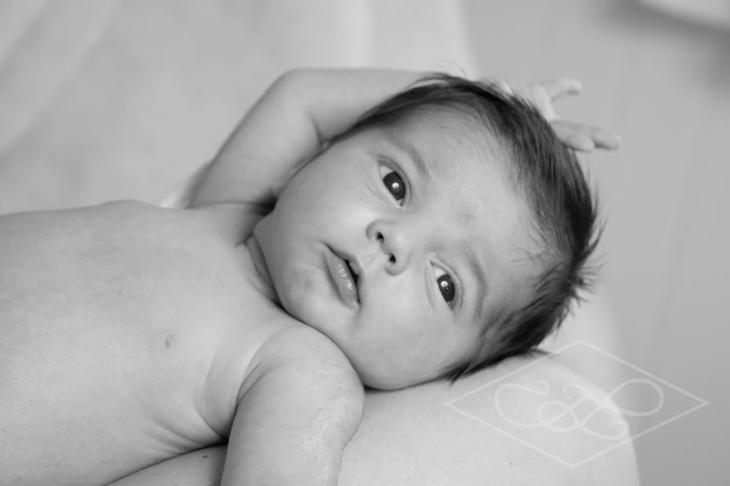 Lucian Newborn.jpg