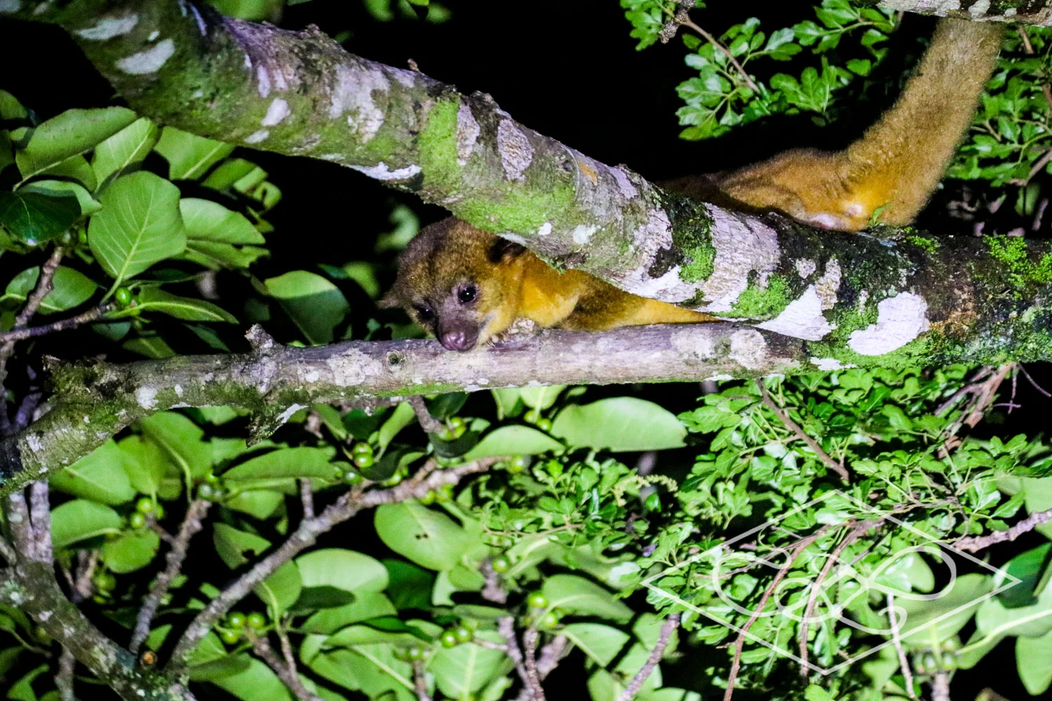 6.29.17 Costa Rica-226Low Resolution.jpg