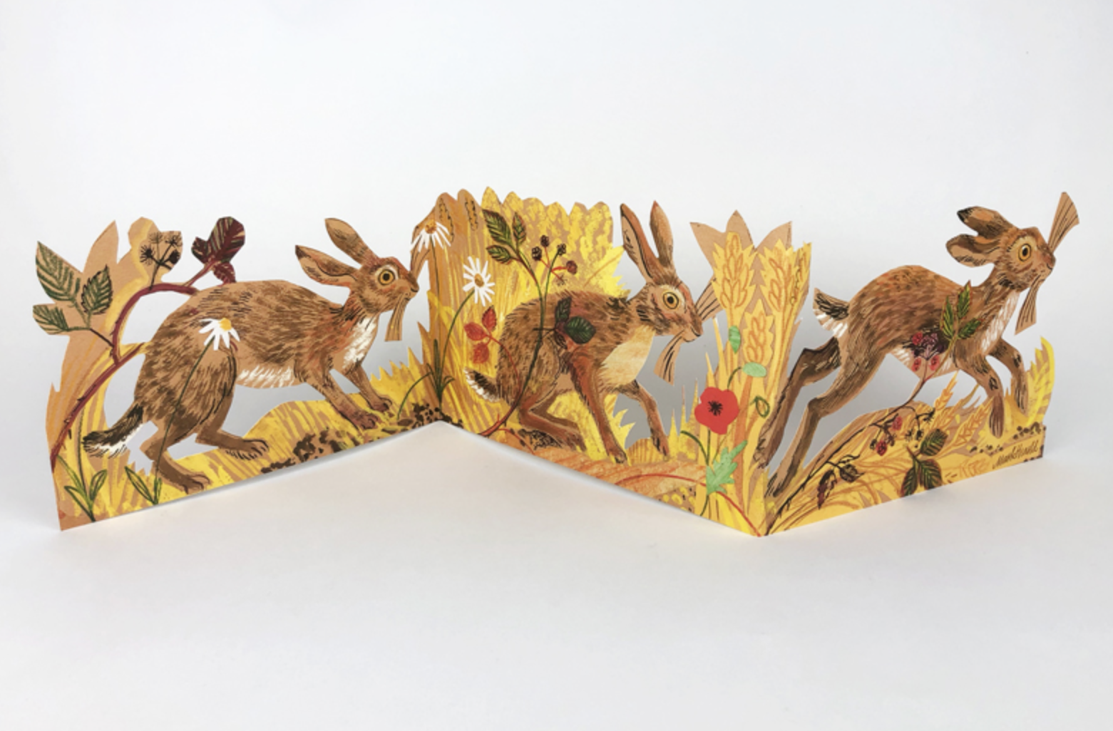 Screenshot 2025-09-27 at 10.52.14 am.png