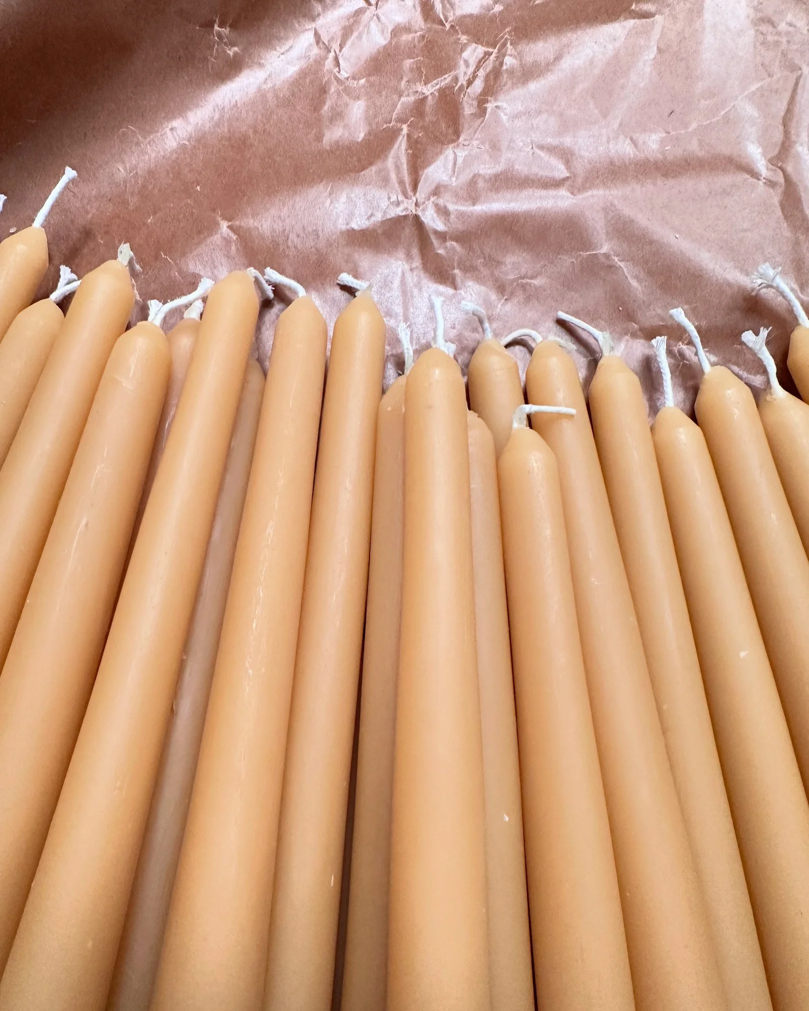 DDFEBD1E-74D7-44B2-9C44-7A2A0F5C95DF 2.JPG