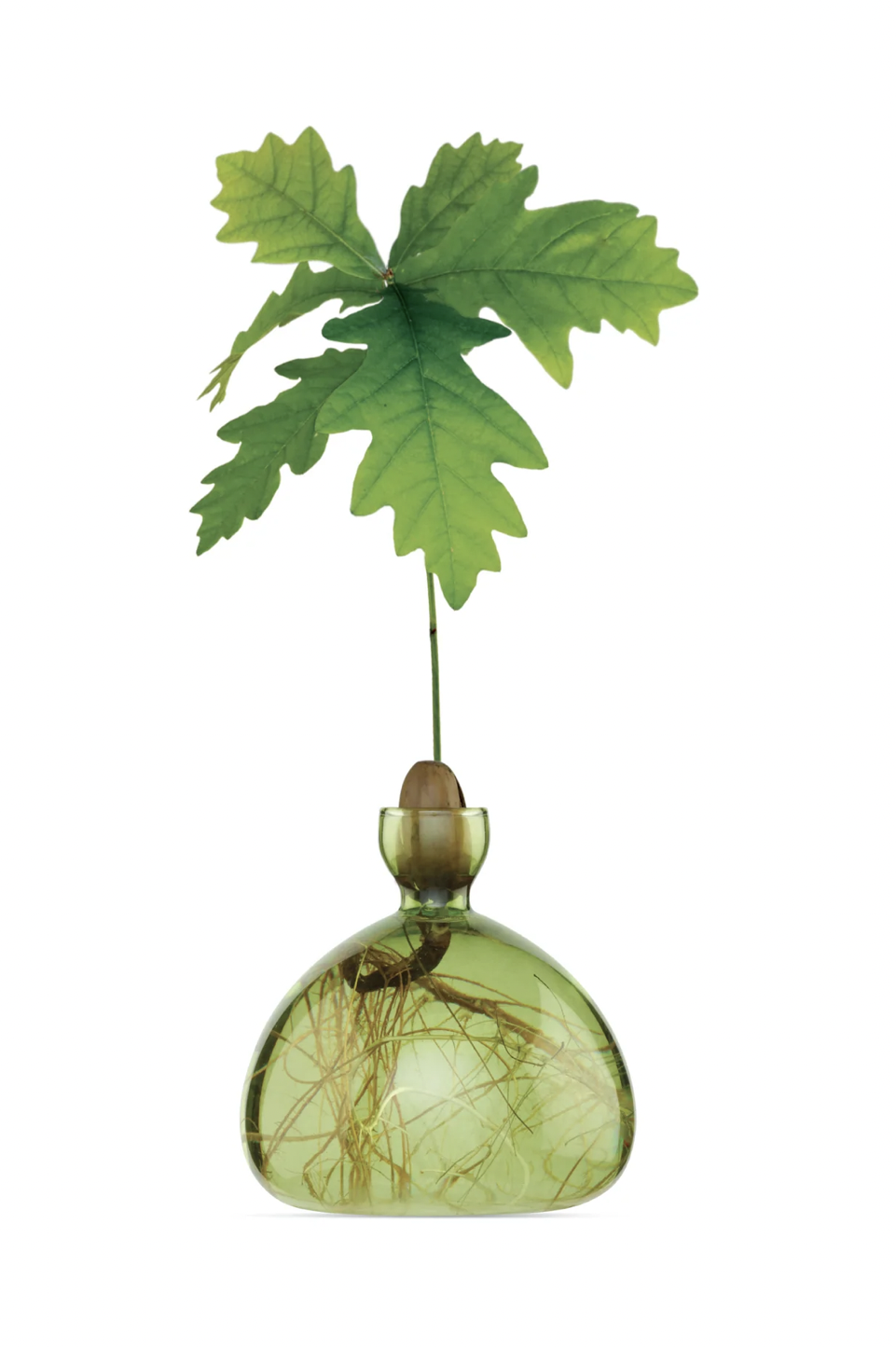 Screen Shot 2022-11-06 at 11.56.01 am.png