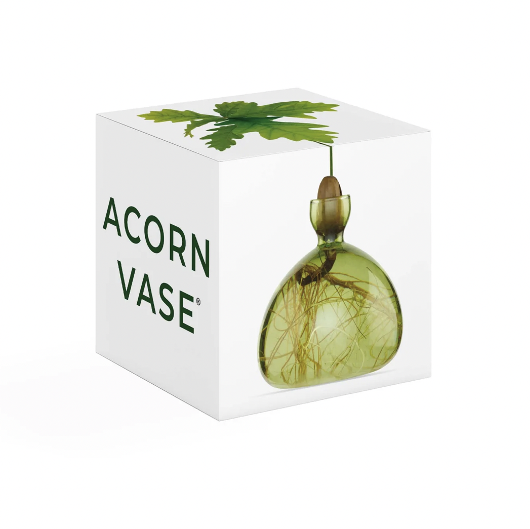 Screen Shot 2022-11-06 at 11.56.21 am.png