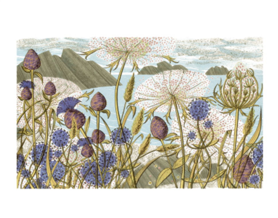 Screenshot 2025-09-25 at 2.33.04 pm.png