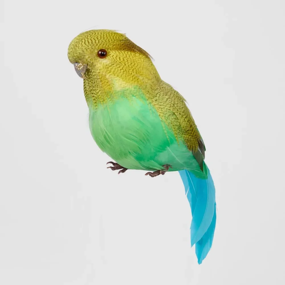 GlitterbeakBudgieGreen.webp