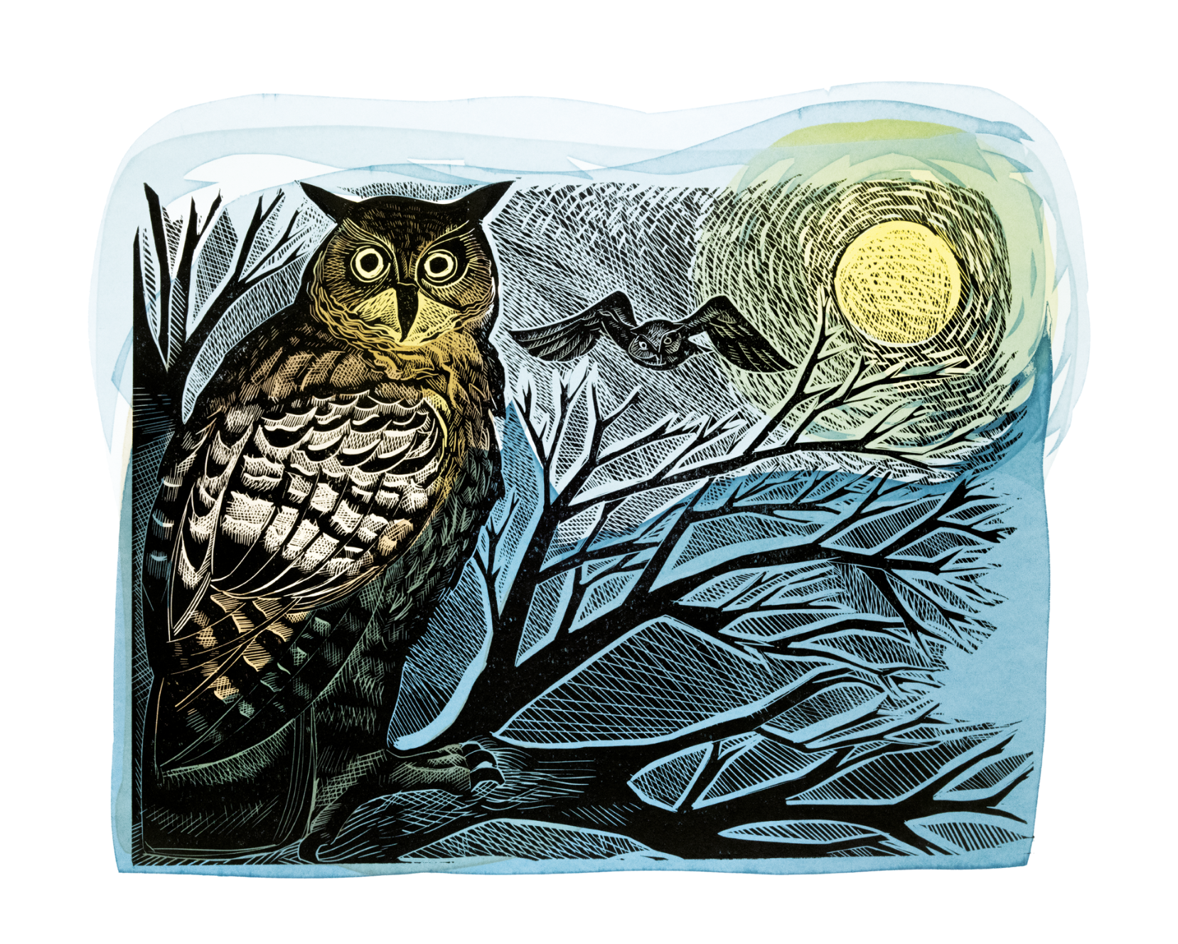 Screenshot 2025-09-22 at 2.15.23 pm.png