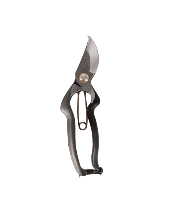 Screenshot 2024-10-05 at 1.36.42 PM.png