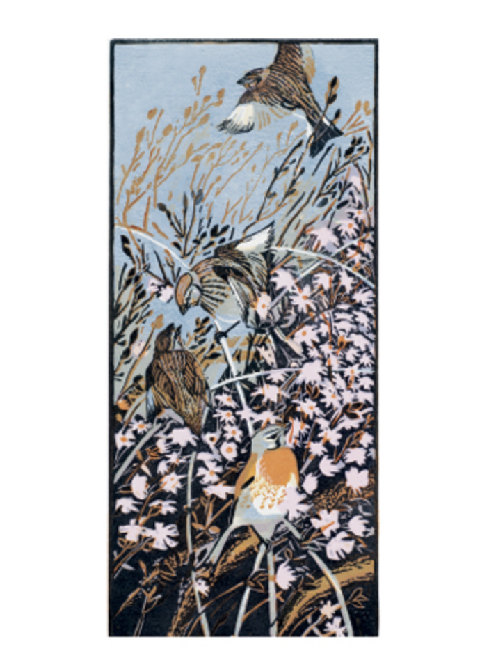 Screenshot 2025-09-27 at 12.08.37 pm.png