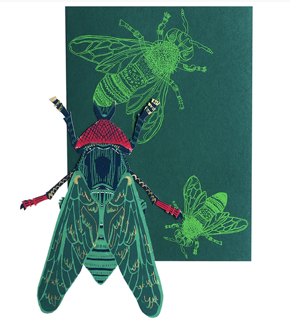 Screenshot 2025-08-06 at 2.52.02 pm.png