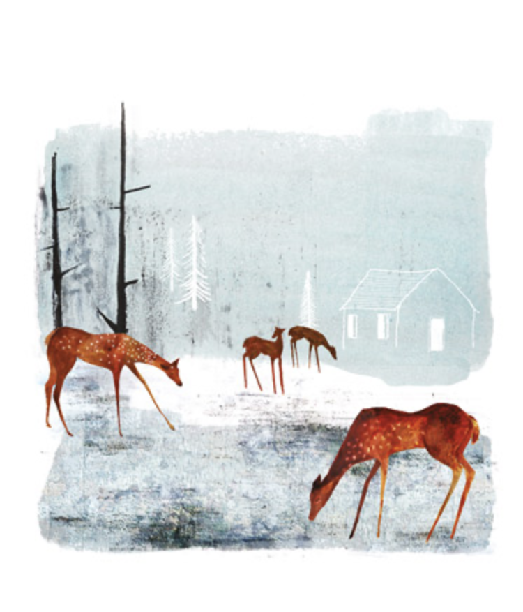 Screenshot 2025-09-27 at 2.43.49 pm.png