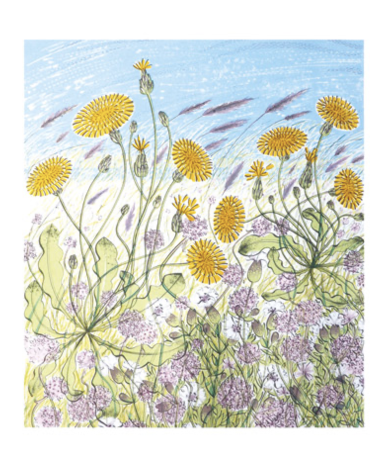 Screenshot 2025-09-25 at 12.17.43 pm.png