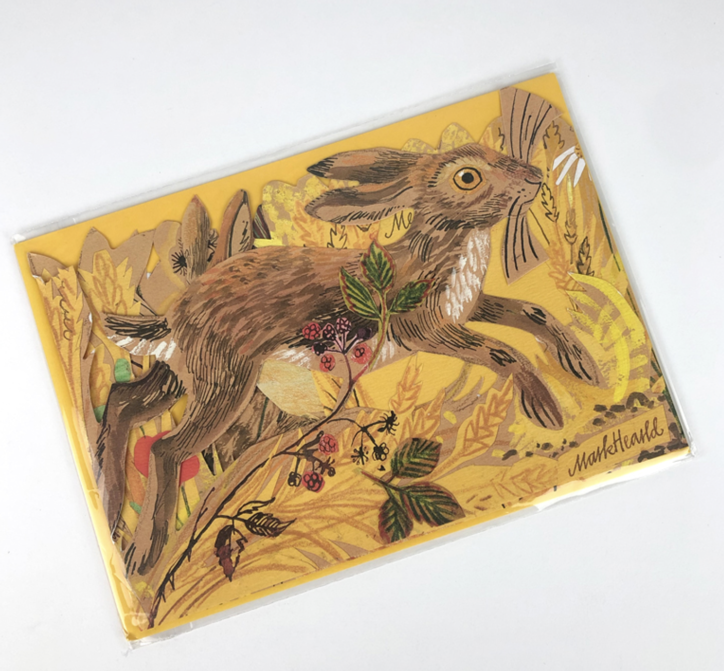 Screenshot 2025-09-27 at 10.53.02 am.png