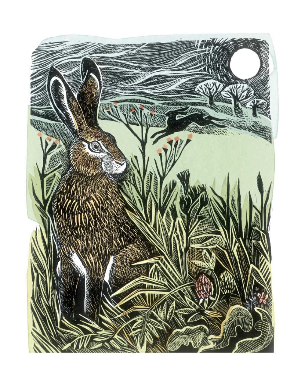 Screenshot 2026-03-21 at 1.14.17 pm.png