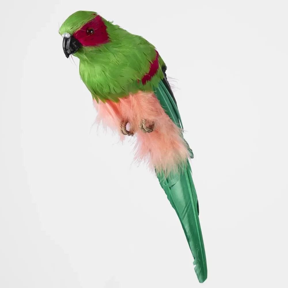 AstonGreenParrot.webp