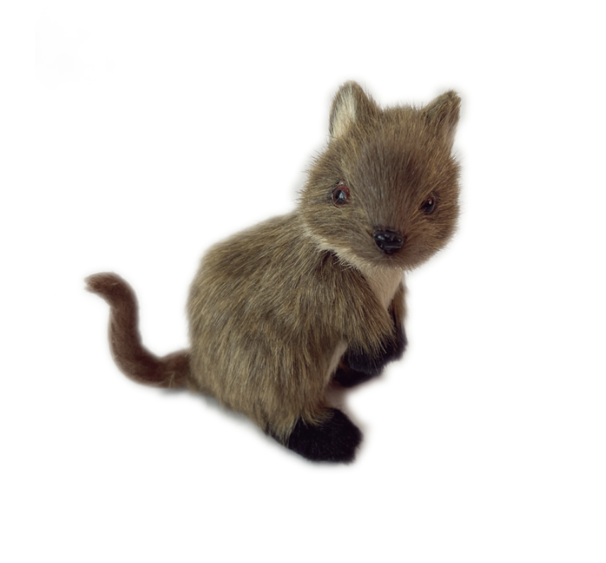 Screenshot 2024-10-09 at 3.31.11 pm.png