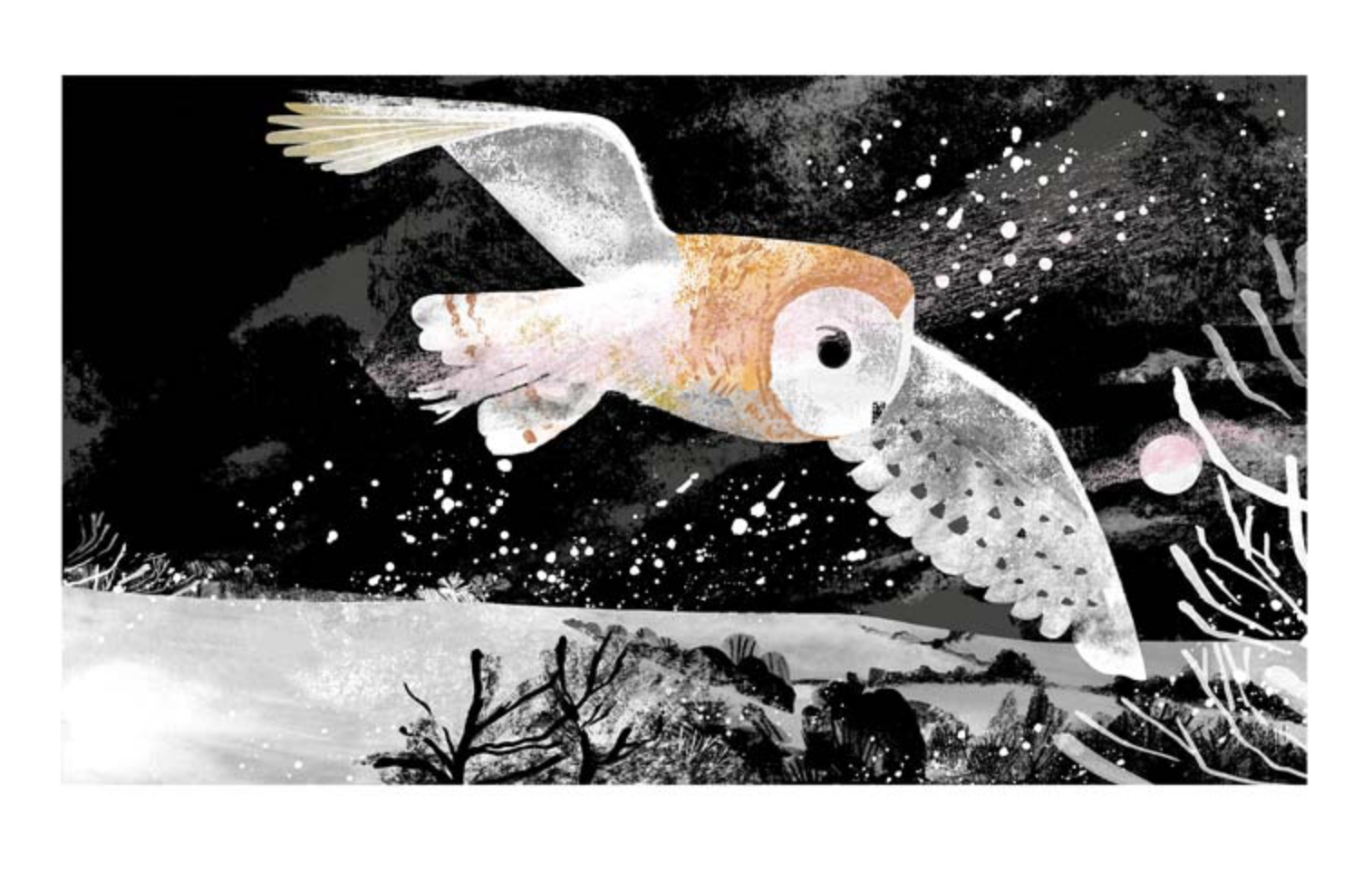 Screenshot 2024-12-08 at 2.29.41 PM.png