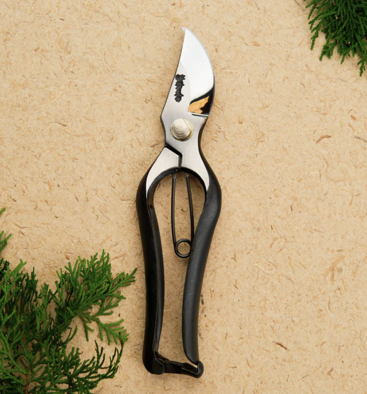 Screenshot 2025-03-15 at 11.56.44 AM.png