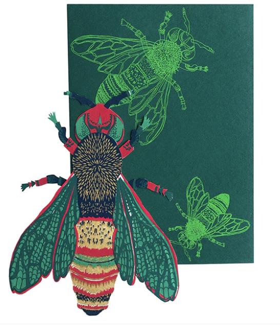 Screenshot 2025-08-06 at 2.55.31 pm.png