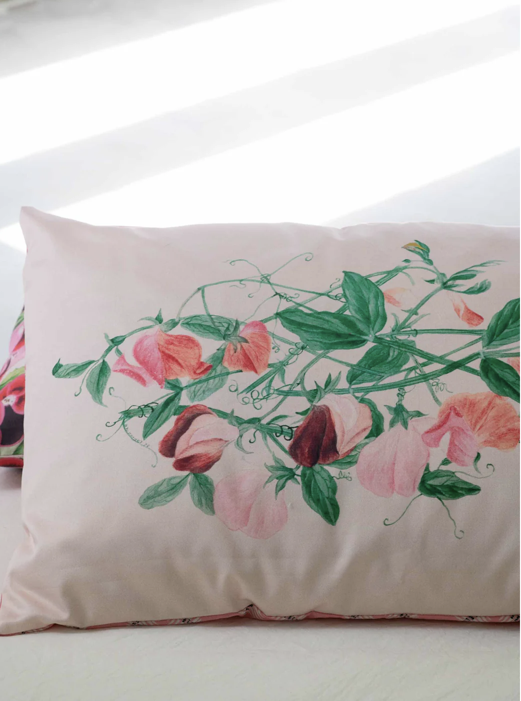 Screenshot 2024-12-05 at 10.43.51 AM.png