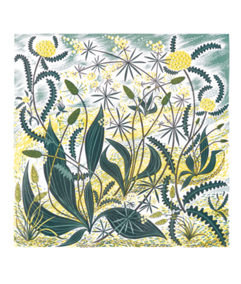 Screenshot 2025-09-25 at 12.21.25 pm.png