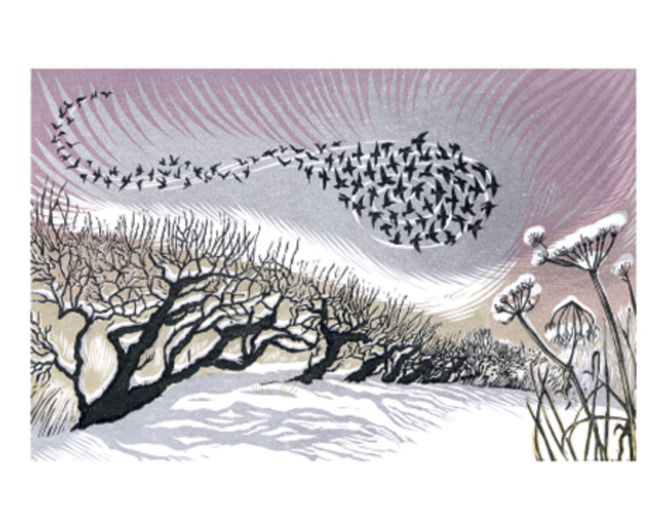 Screenshot 2025-09-27 at 11.43.27 am.png