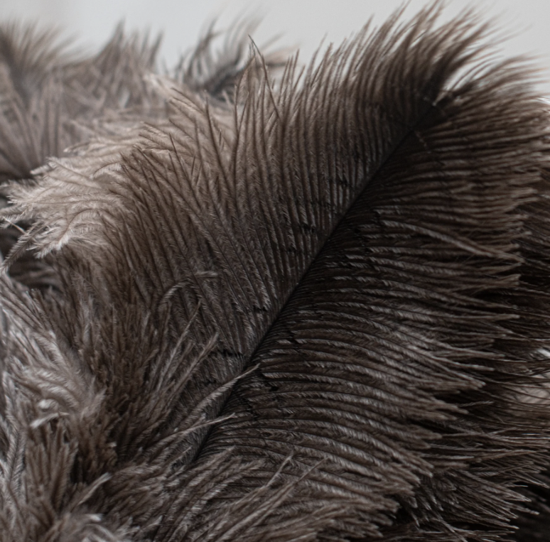 Screenshot 2024-09-10 at 9.23.27 AM.png