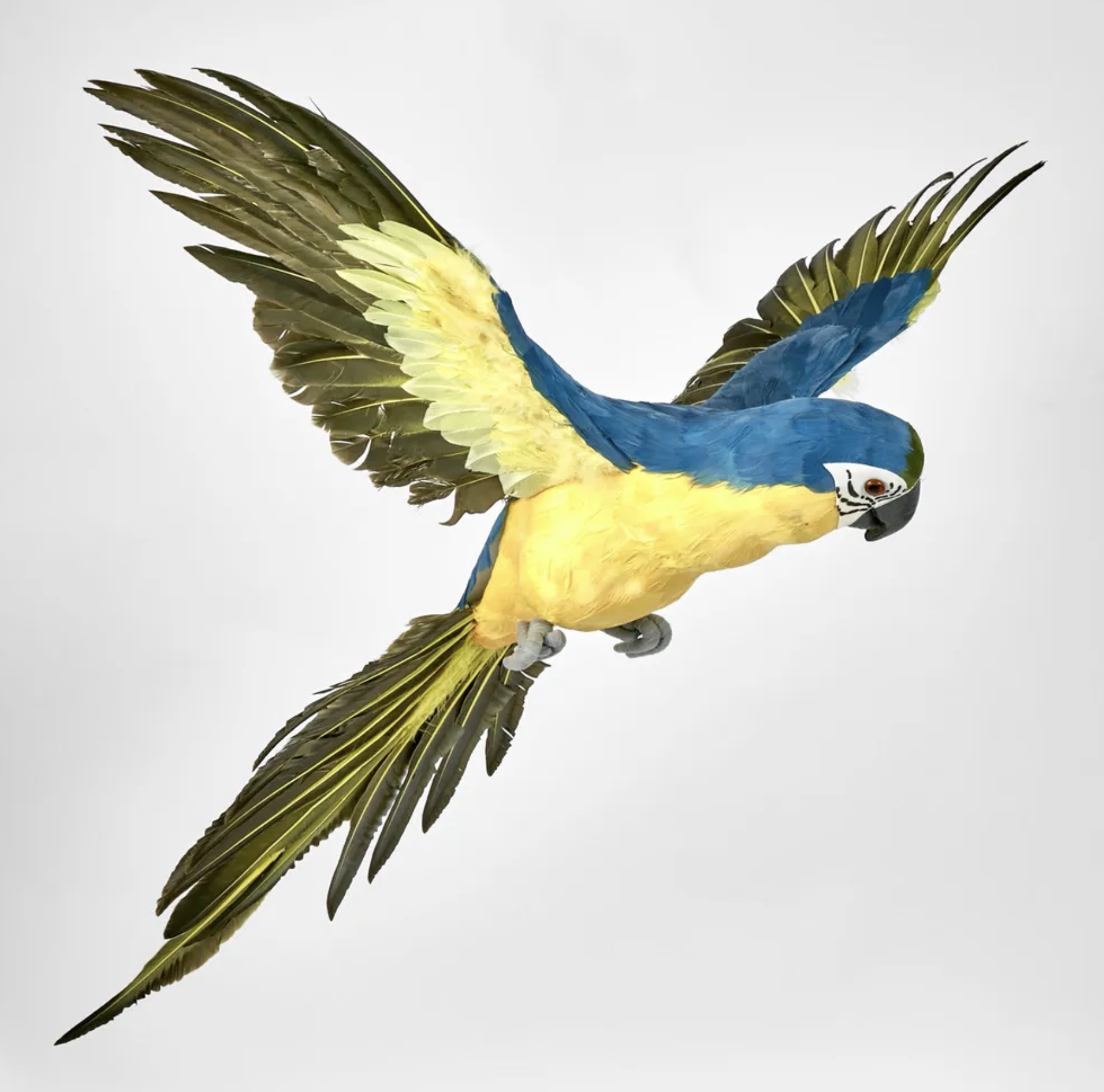 Screenshot 2024-10-30 at 11.19.37 AM.png