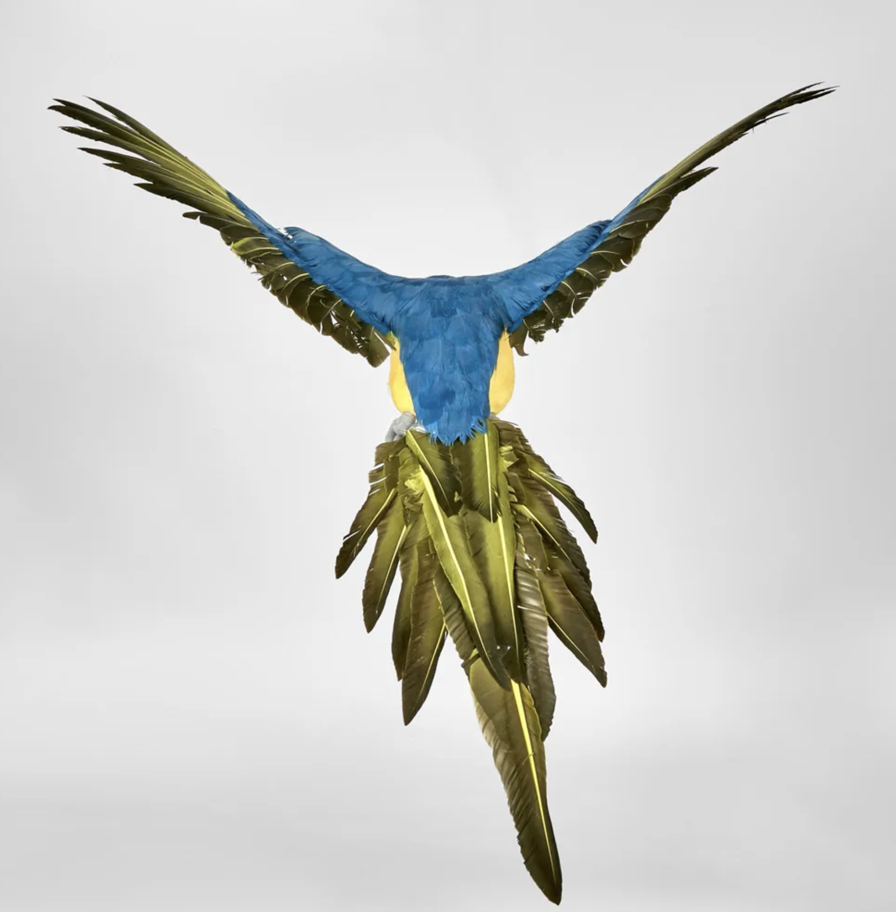 Screenshot 2024-10-30 at 11.20.05 AM.png