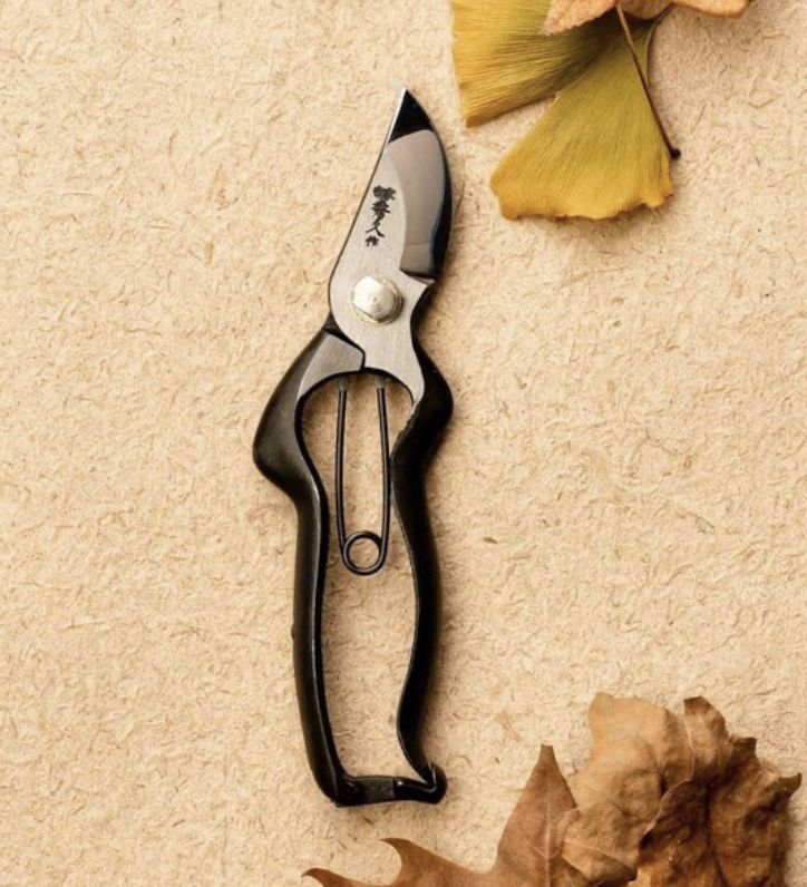 Screenshot 2024-10-05 at 1.37.18 PM.png