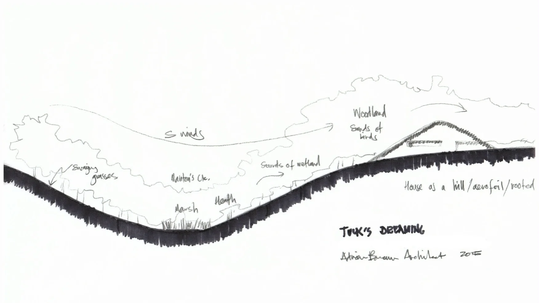 Tucks Dreaming Site Section copy.jpg