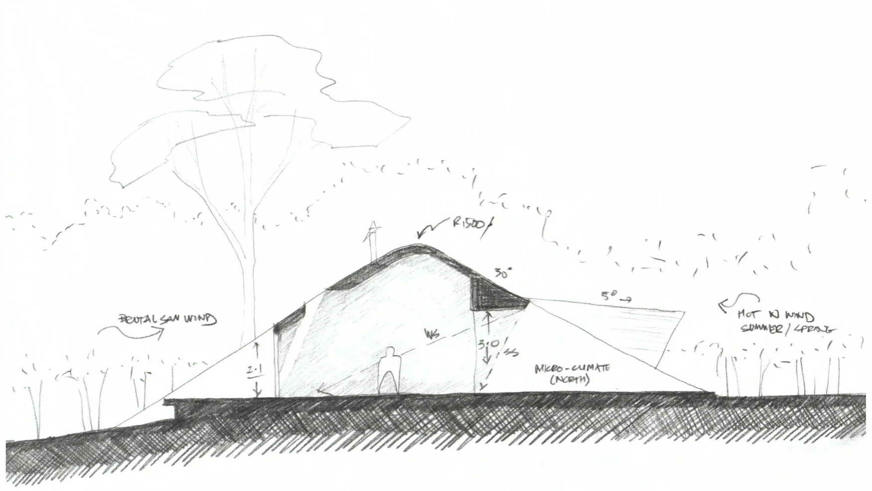 Tucks Dreaming Section copy.jpg