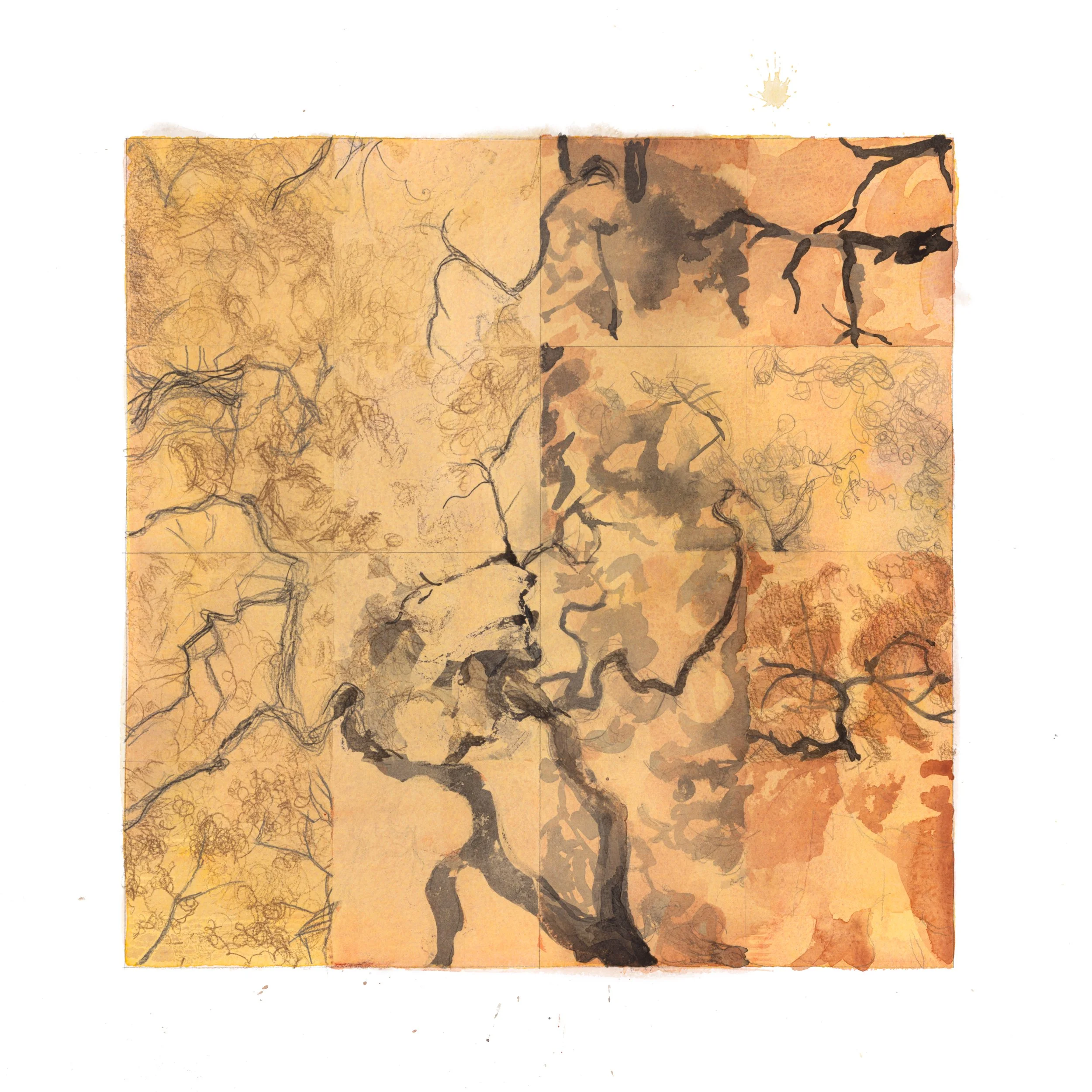 AY-True Line-DMF.jpg