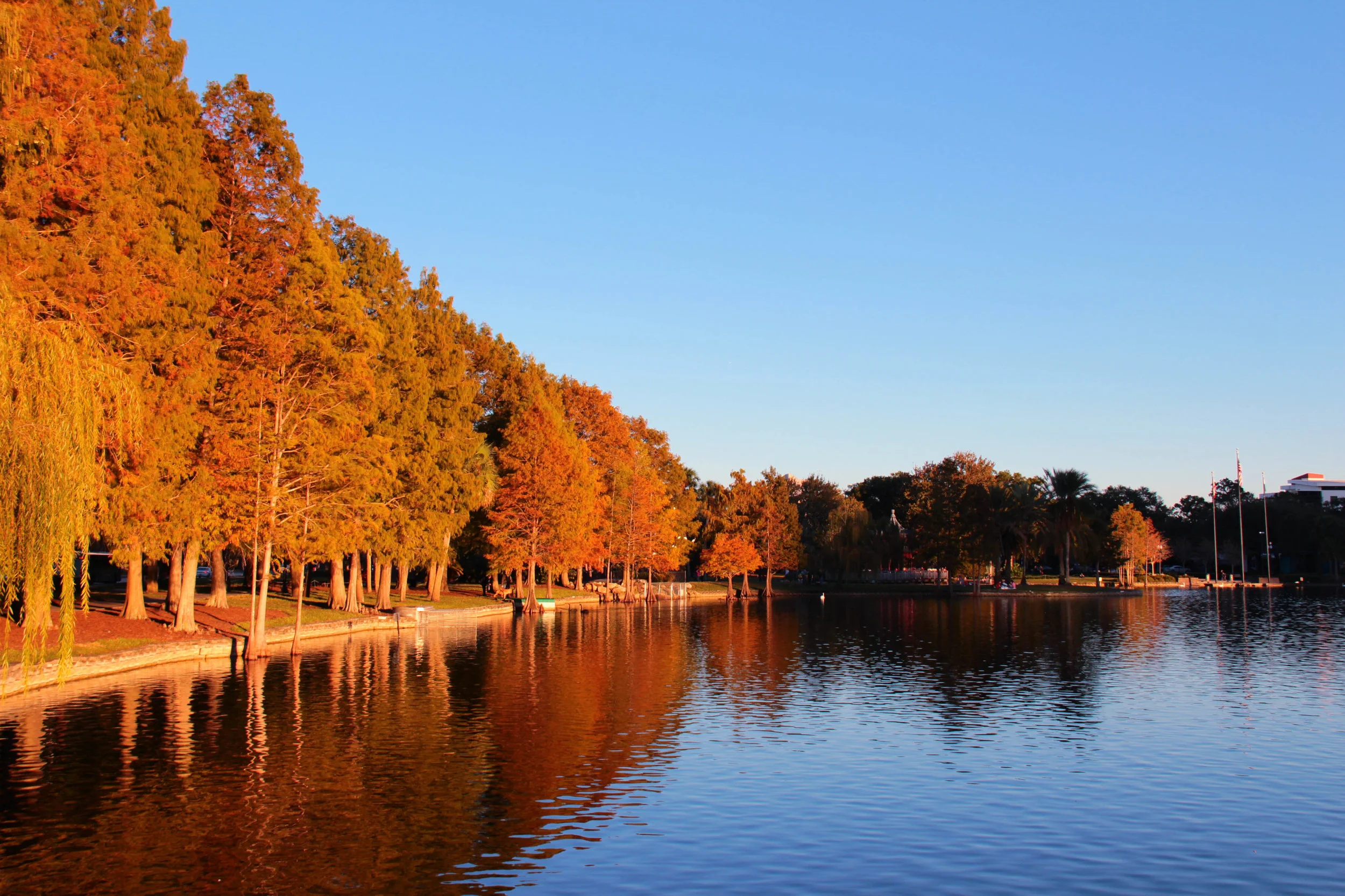 Lake Eola