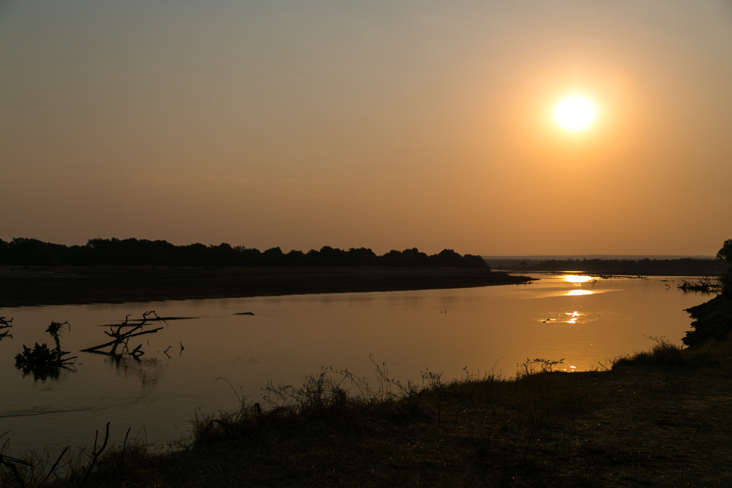 Luangwa Sun