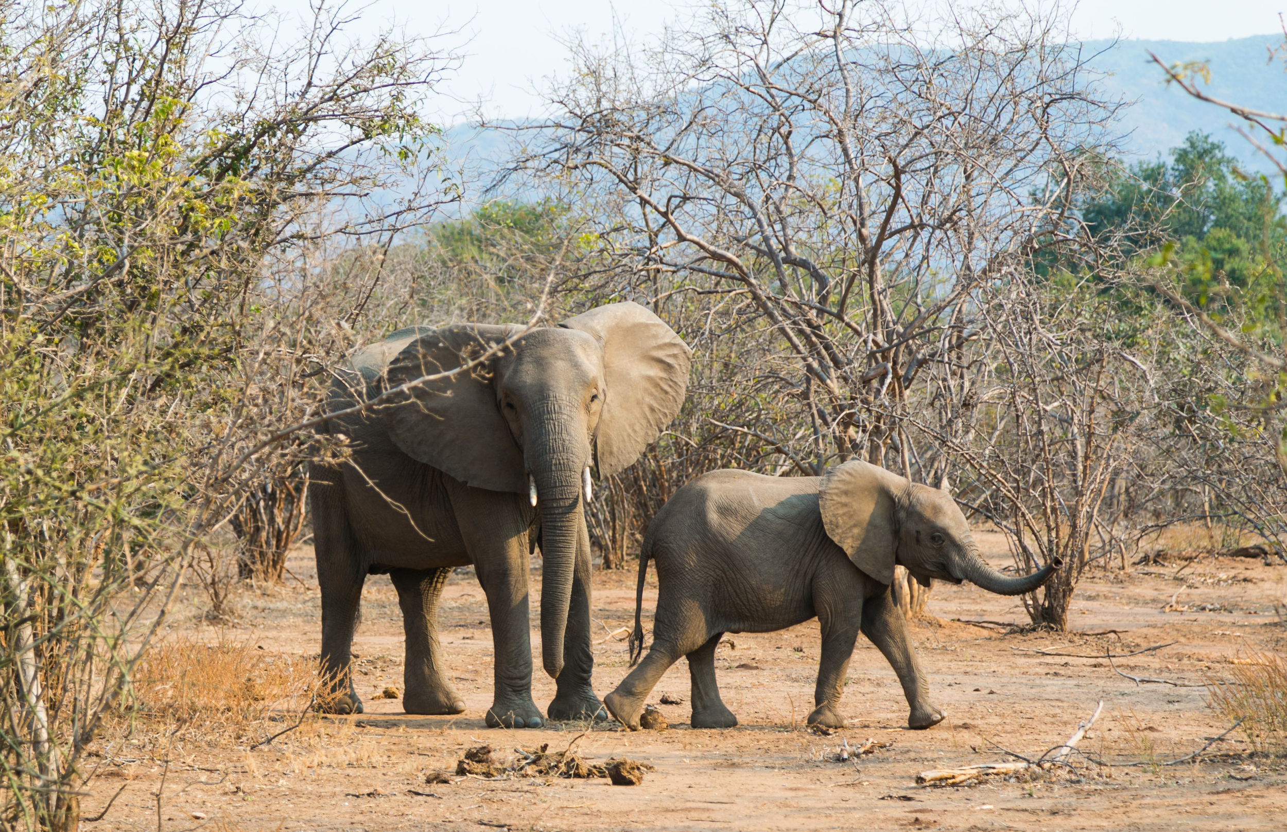 Mind Your Own Business