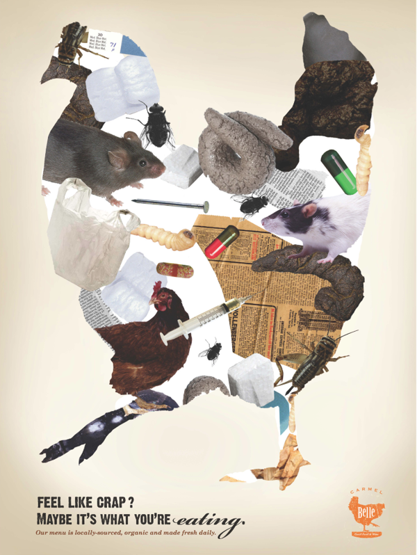 CARMEL BELLE - DESIGN